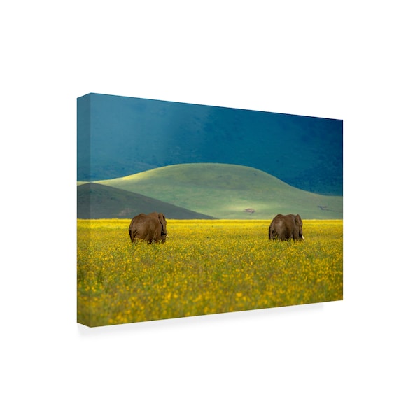 E Amer 'Elephant Pair' Canvas Art,30x47